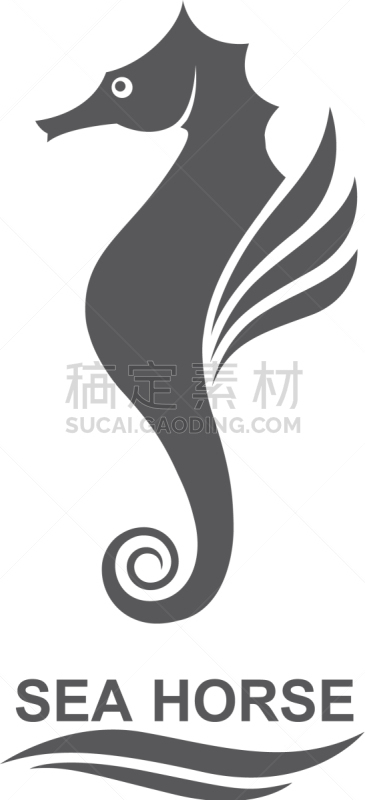 海马,分离着色,生物学,自然,海产,海洋,船,动物,装饰