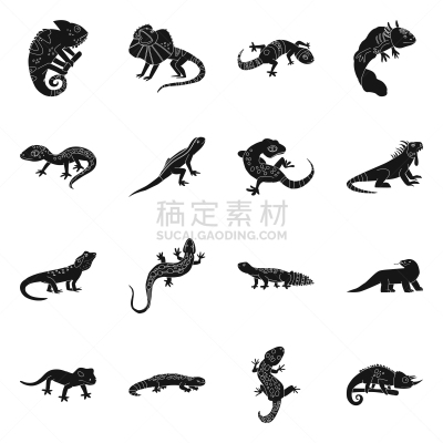环境,动物园,符号,可爱的,热,飘然,灰色,野生动物,设计,布置
