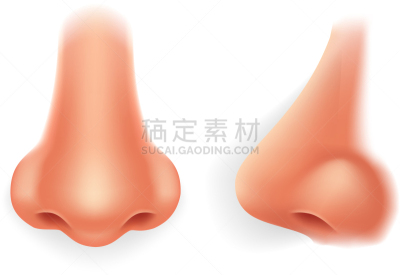 人的鼻子,三维图形,分离着色,侧面像,正面视角,生物学,健康保健,部分,写实,整形