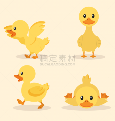 可爱的,黄色,装饰鸭,宠物,图像,新生活,性格,收集,问候,坐