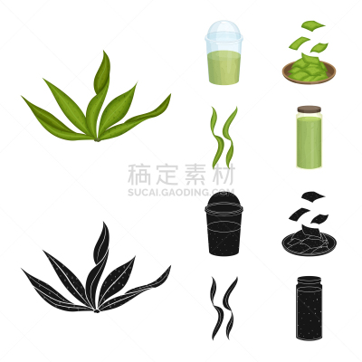 海洋,计算机图标,蛋白质,饮料,蔬菜,素食,清新,食品,营养品,维生素