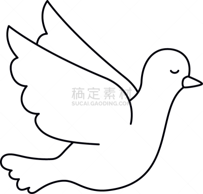 鸟类,斑鸠,分离着色,式样,白色,自然,纯净,希望,爱