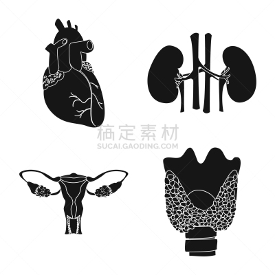 人,分离着色,品牌名称,人造物,人类的生殖器官,卵巢,膀胱,收集