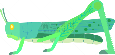 沙漠蝗虫,绘画插图,绿色,州,农业,传媒,蔬菜,怪异,全球粮食危机,恐惧