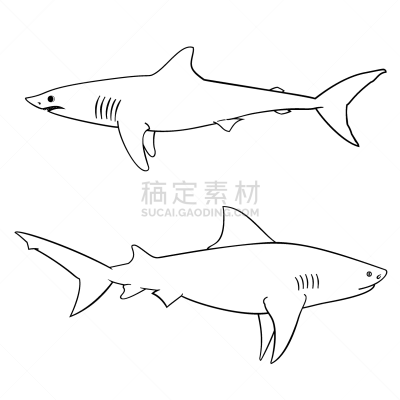 儿童,鲨鱼,彩色书,分离着色,轮廓,白色,可爱的,书,自然,图像