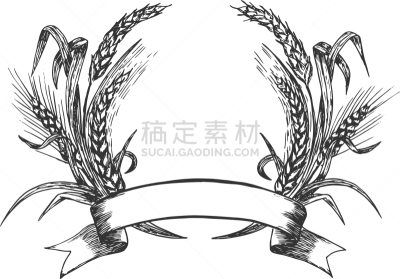 农业,农作物,食品,枝,秋天,谷物,漩涡形,条纹,干的,堆