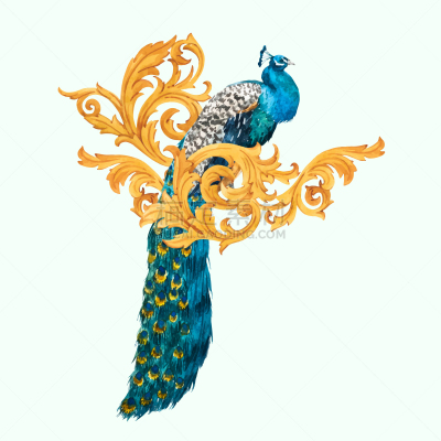 孔雀,水彩画,华丽的,披肩,几何形状,华贵,巴洛克风格,现代,构图