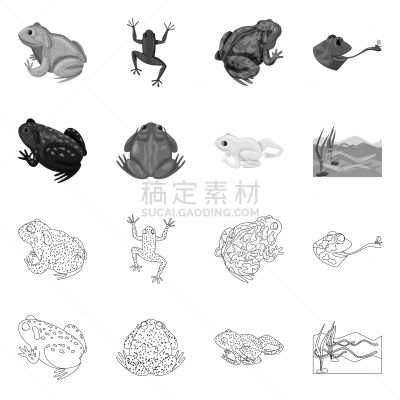 野生动物,藓沼,计算机图标,生物学,有毒物质,灰色,青蛙,池塘,收集,设计