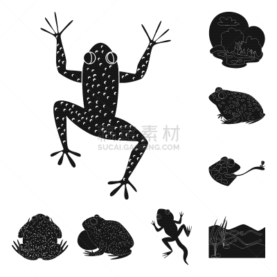 动物,爬行纲,图标集,生物学,有毒物质,野生动物,青蛙,池塘,草,设计