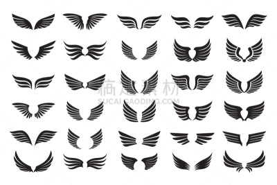 翅膀,绘画插图,轮廓,计算机图标,矢量,黑色,波兰,对称,自由,野生动物