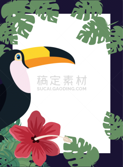 夏天,式样,巨嘴鸟,请柬,纺织品,野生动物,壁纸,动物,阿罗哈,花