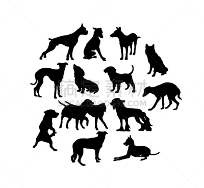 狗,宠物,纯种犬,大麦町,梗犬,图像,赛特种猎狗,柯利牧羊犬,巴哥犬,动物