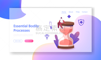 健康保健,小的,绘画插图,雌二醇,巨大的,雌激素,矢量,荷尔蒙,更年期