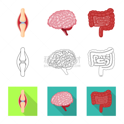 生物学,科学,标志,健康保健,植物群,空肠,脑回,设计,布置,思考
