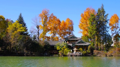 黑龙潭公园-丽江古城风光