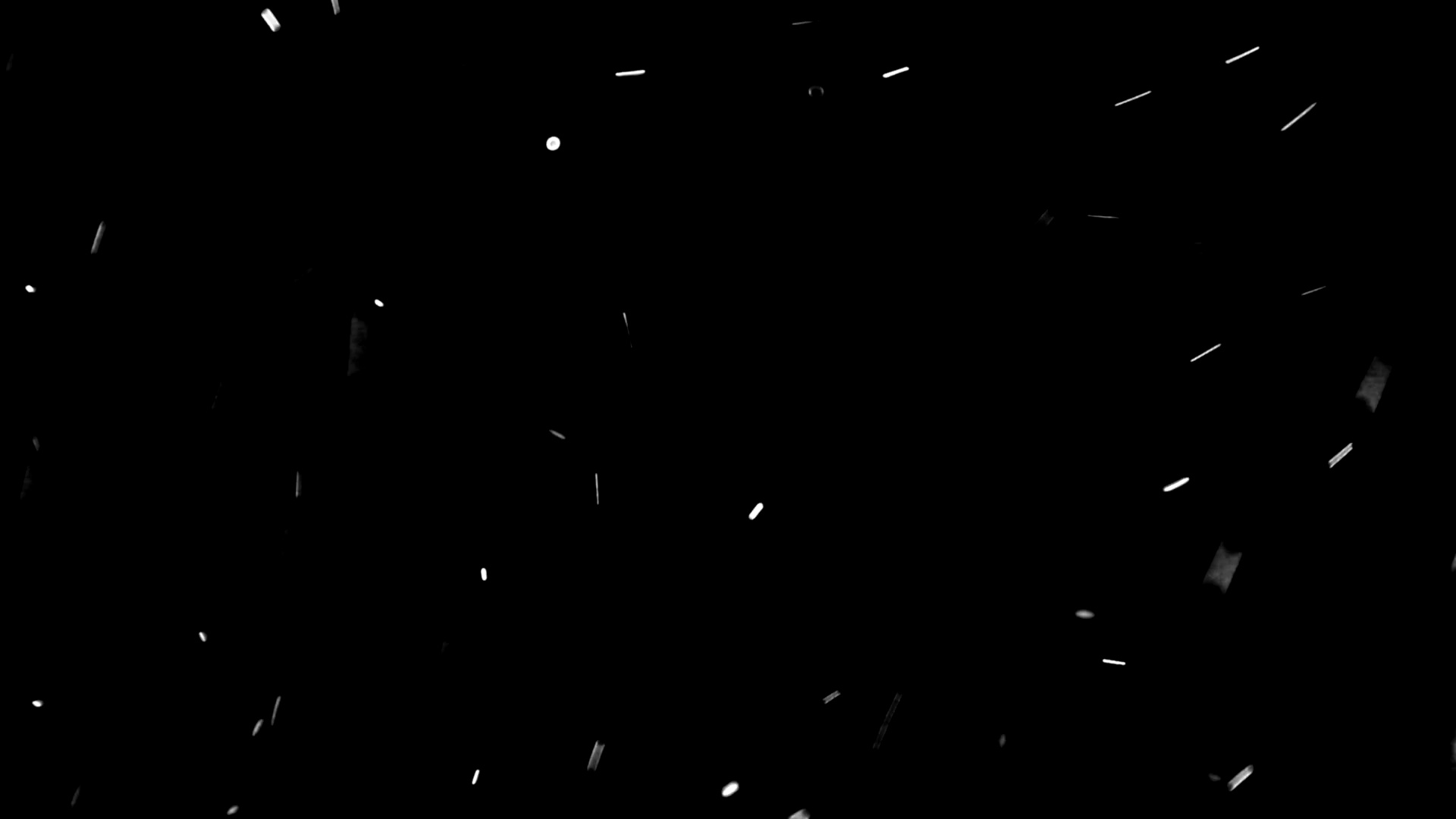 粒子