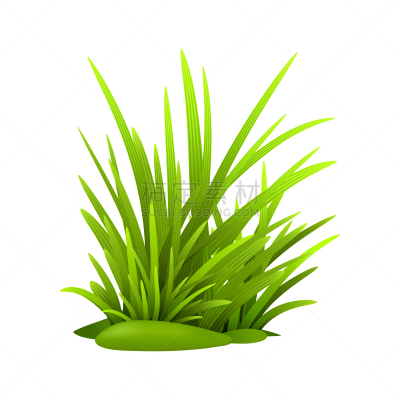 草,绿色,分离着色,自然,季节,草本,清新,概念,图像,植物群