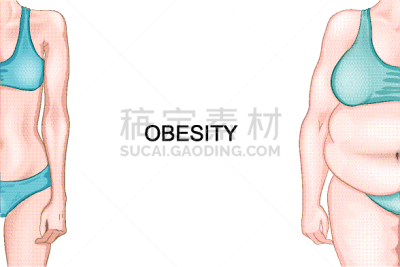 肥胖,女孩,重量,苗条,瘦弱,肚子,健康保健,损失,女人