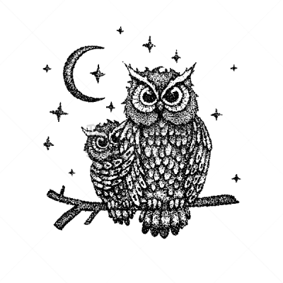 夜晚,猫头鹰,可爱的,野生动物,动物,鸟类,艺术品,复古,绘制