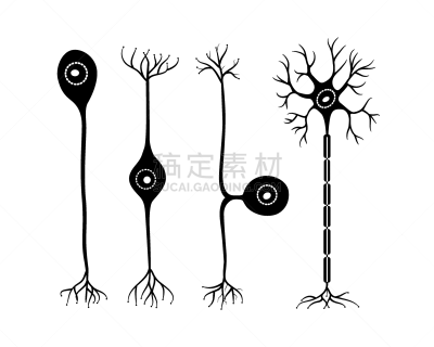 神经元,生物学,多极神经元,健康保健,受体,小的,顺序,科学,思考,剪影