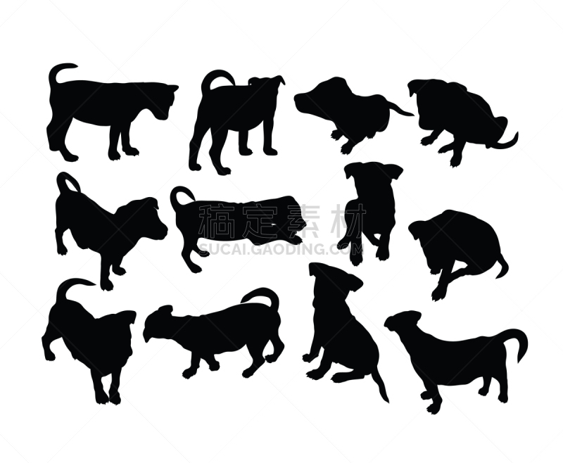 哈巴狗,纯种犬,大麦町,梗犬,赛特种猎狗,狗,巴哥犬,现代,动物,斯班尼犬