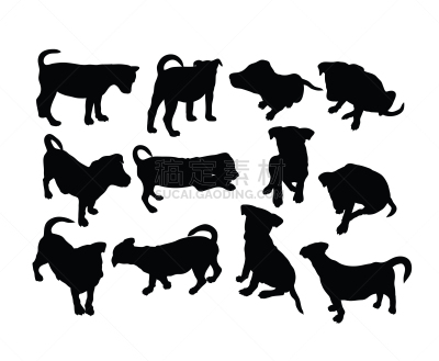 哈巴狗,纯种犬,大麦町,梗犬,赛特种猎狗,狗,巴哥犬,现代,动物,斯班尼犬