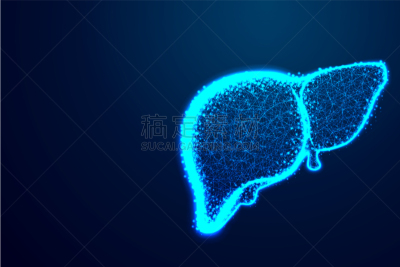 表格,人类心脏,线条,肝脏,生物学,商务,健康保健,几何形状,技术