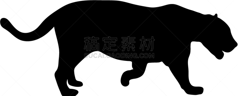 美洲豹,白色,黑色,慢跑,野生动物,雪,狮子,彪马,哺乳纲,剪影