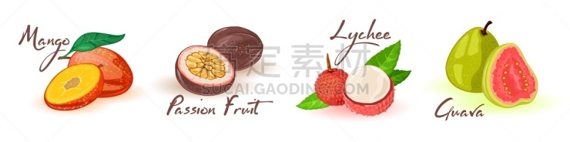荔枝,维生素,番石榴,西番莲,泉,营养品,芒果,热带水果,菜单,热情