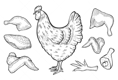 肉,鸡,可爱的,创造力,高雅,食品,图像,自然美,动物,复古