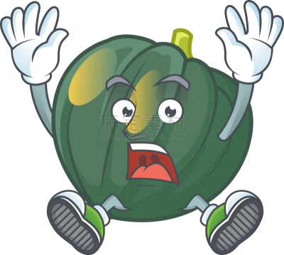 Acorn Squash,动画片,时尚,可爱的,蔬菜,素食,配方,清新,食品