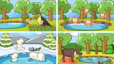 野外动物,背景,风景,猴子,可爱的,活力,野生动物,环境,灵长目,霜