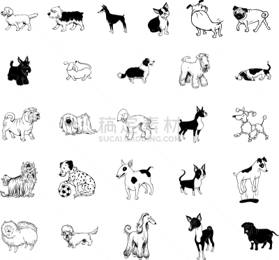 狗,分离着色,可爱的,白色,宠物,自然,梗犬,概念,收集,坐