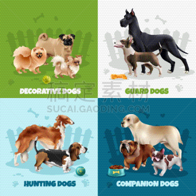 概念,狗,可爱的,纯种犬,图像,哺乳纲,性格,动物,獒,矢量