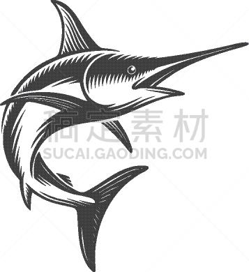 概念,海洋,箭鱼,分离着色,白色,海产,野生动物,食品,图像,复古