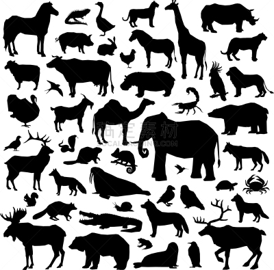 巨大的,动物,华丽的,概念,长颈鹿,狮子,猪,犀牛,鸟类,收集