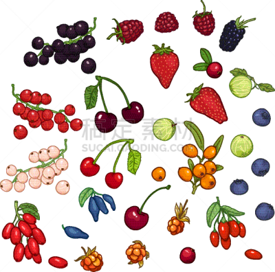 set cartoon berries