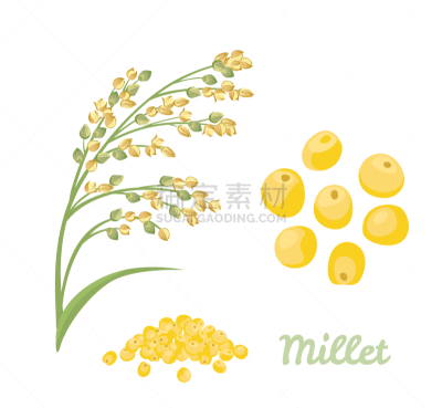 食品,堆,尖的,糜子,无谷蛋白,绘画插图,卡通,黄色,谷类