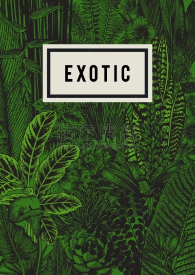 矢量,贺卡,华丽的,边框,复古风格,床,马蹄莲,Calathea,复古