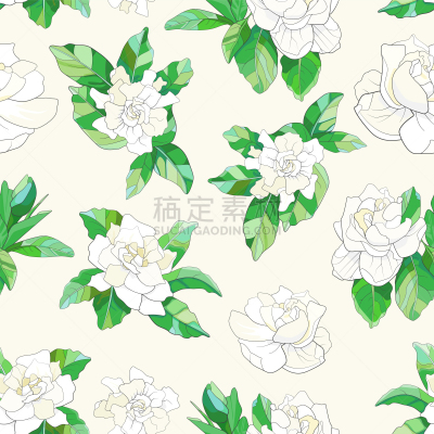 栀子,四方连续纹样,自然,华丽的,高雅,图像,花朵,艺术,花瓣,叶子