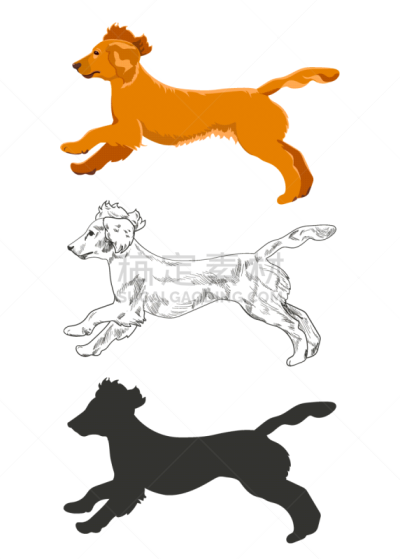 风格,三只动物,慢跑,可爱的,狗屋,纯种犬,敏捷,狗,服从