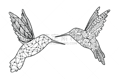 矢量,绘画插图,鸟类,式样,蜂鸟,动物手,品牌名称,轮廓,白色背景,时尚