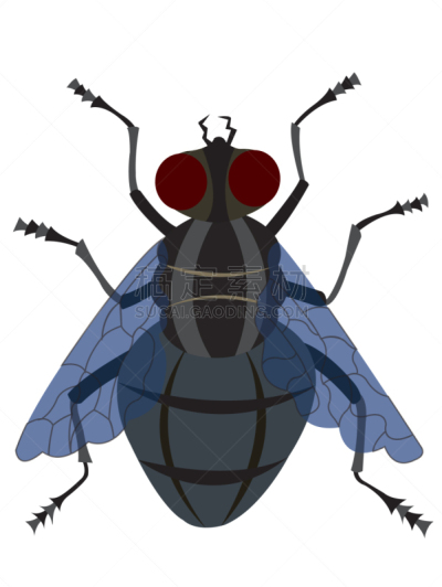 家蝇,蜂虻,矢量,寄生的,食肉蝇,图像,Horn Fly,采采蝇,运送