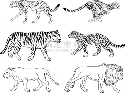 猫,动物手,野外动物,分离着色,自然,非洲,绘制,布置,收集,设计