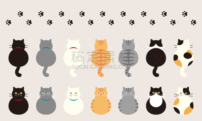 猫,多样,可爱的,宠物,背面视角,图像,姜黄色的猫,可爱,玳瑁猫,动物