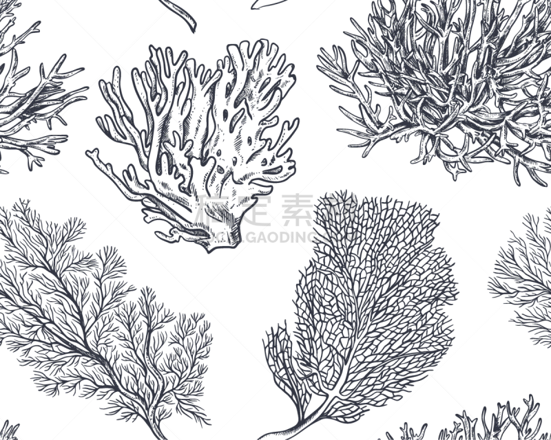 seamless pattern with hand drawn ocean