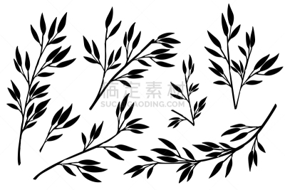绘画插图,枝,艺术,叶子,矢量,手,植物学,黑色,设计元素,花
