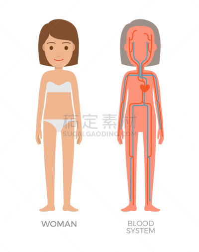 女人,顺序,白色,生物学,分离着色,微生物学,静脉滴注,教育