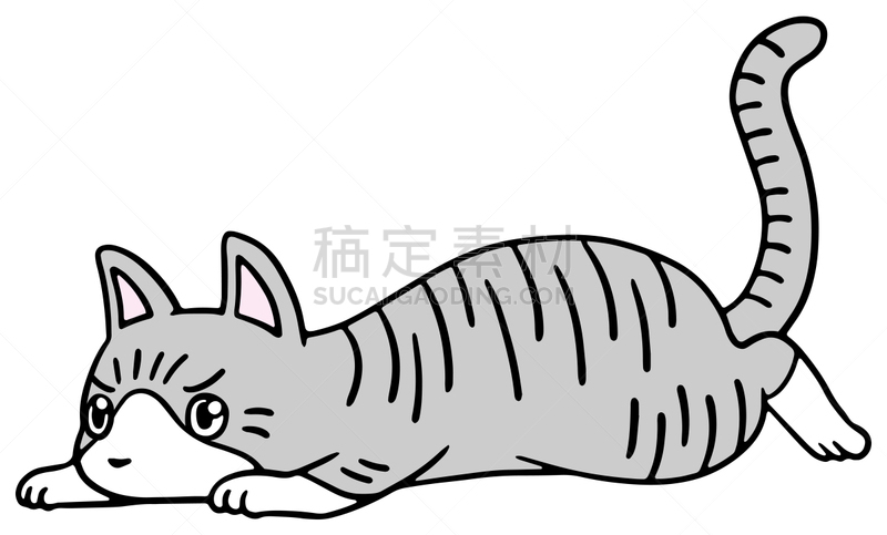 矢量,绘画插图,猫,惊骇,十二生肖,恐怖,简单,动物,宠物商店