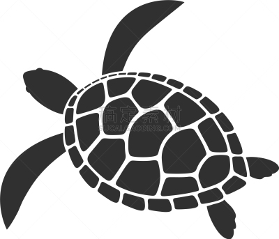 海龟,分离着色,动物园,肉,海洋生命,海产,食品,图像,绿蠵龟,水母